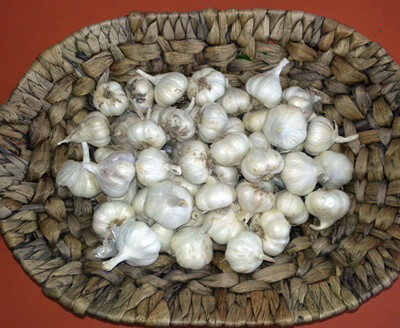 Български чесън