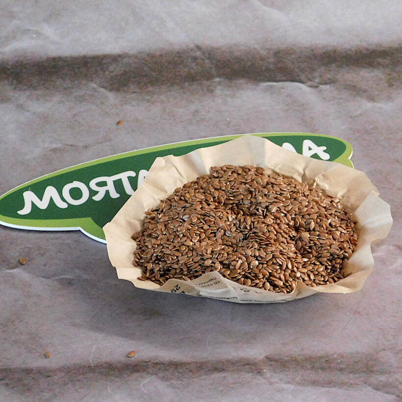 ленено семе