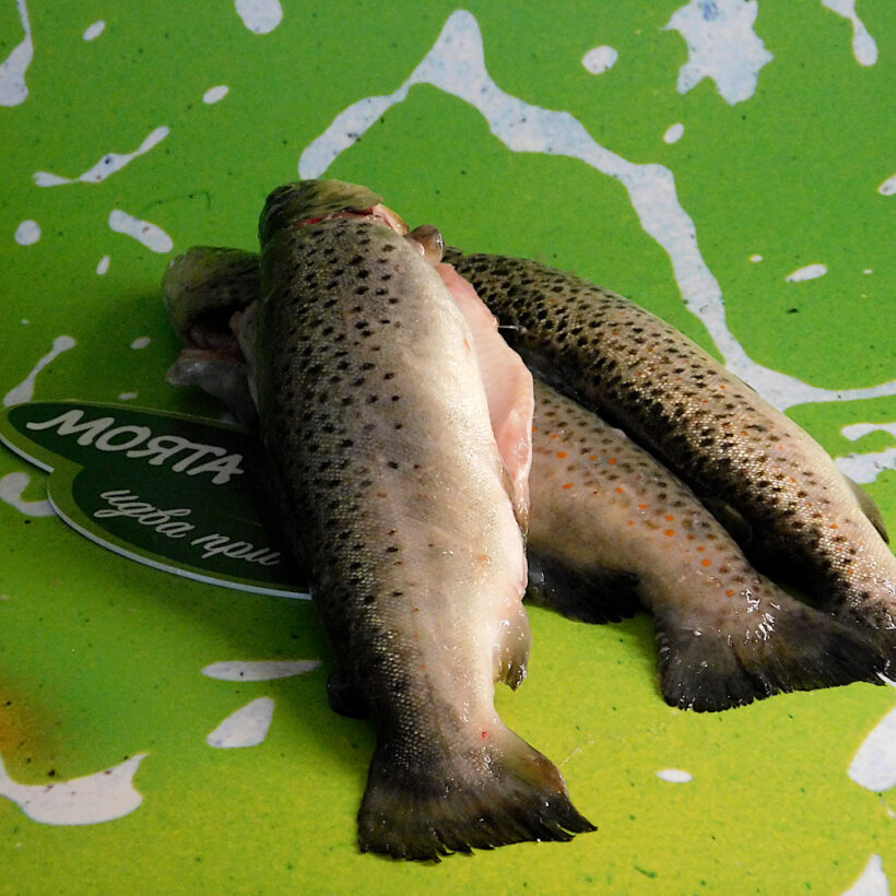 балканска пъстърва