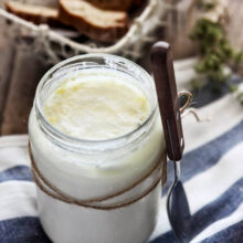 kiselo mliako Jarlovo kiselo mliako Jarlovo