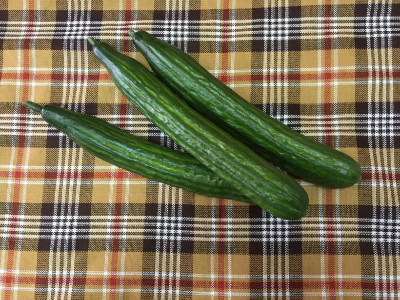 Krastavitsi Rosela1 Krastavitsi Rosela1