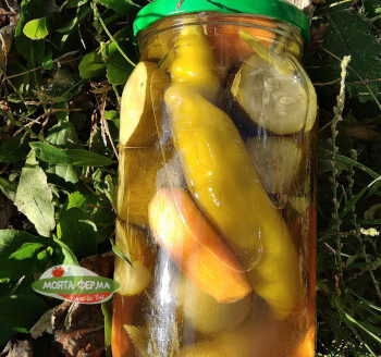 буркан туршия