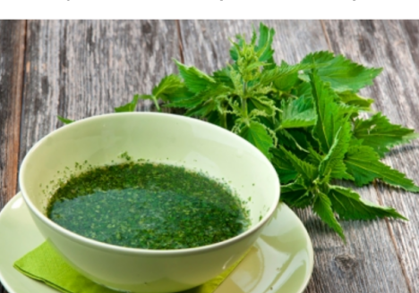 Копривена чорба