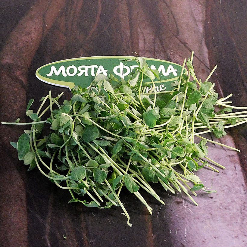 грах едър 1 грах едър 1