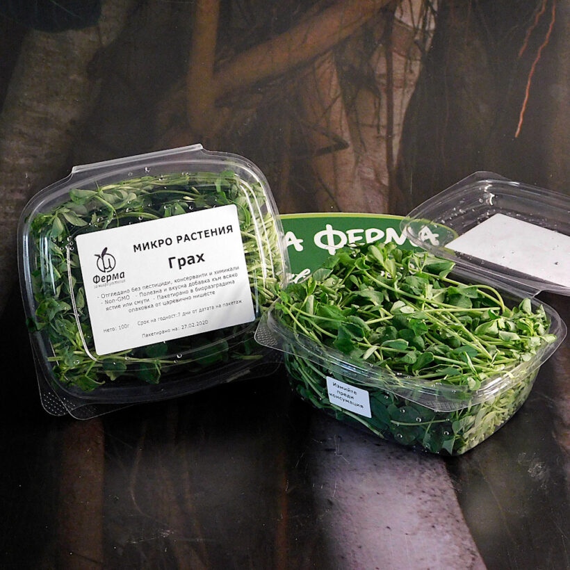 грах едър грах едър