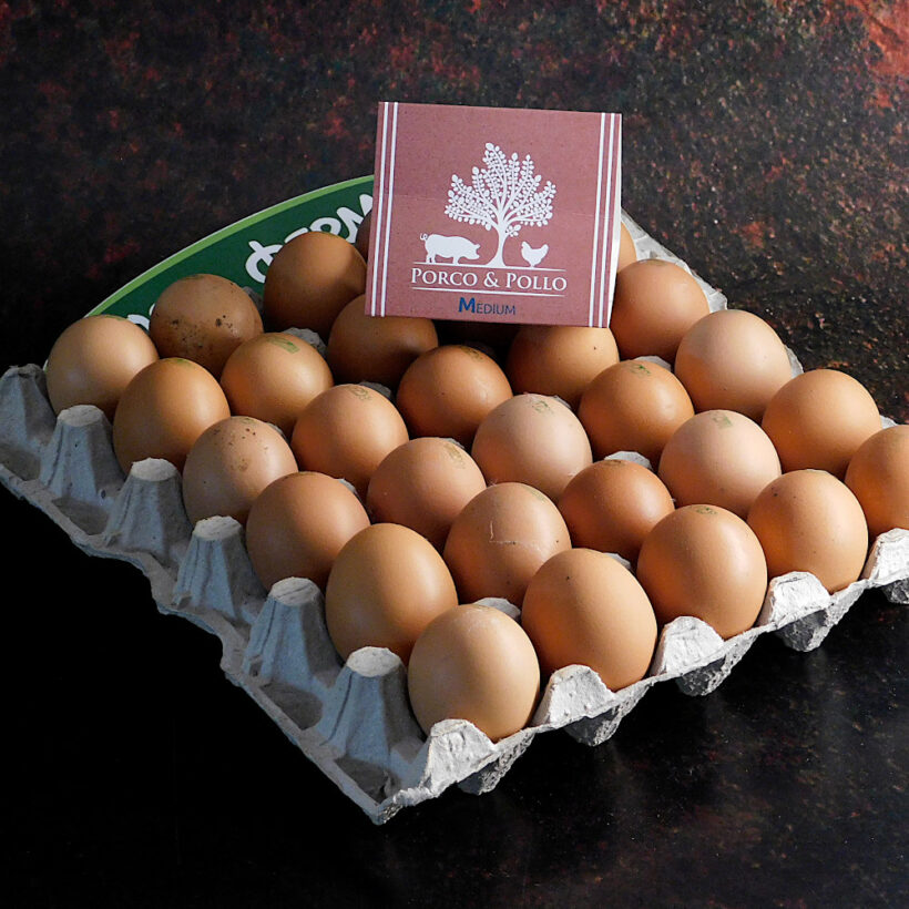 яйца m яйца m