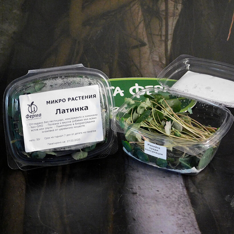Микро латинка 50 гр. - Моята Ферма