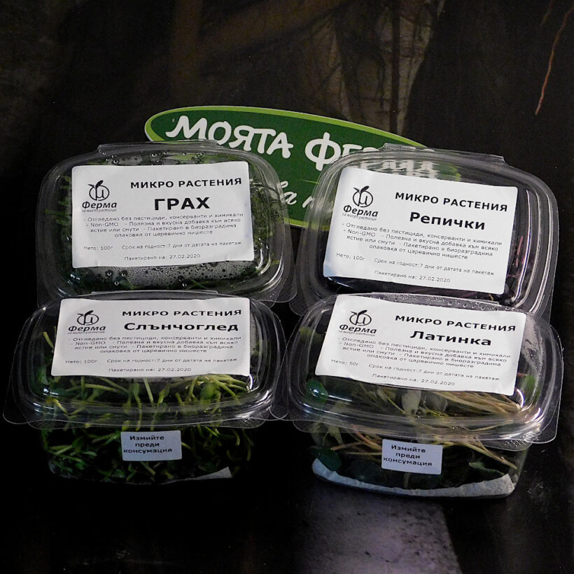 микрорастения