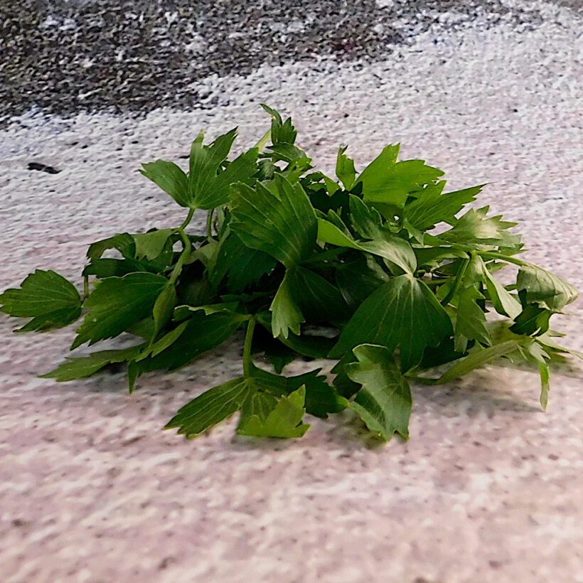 девисил девисил