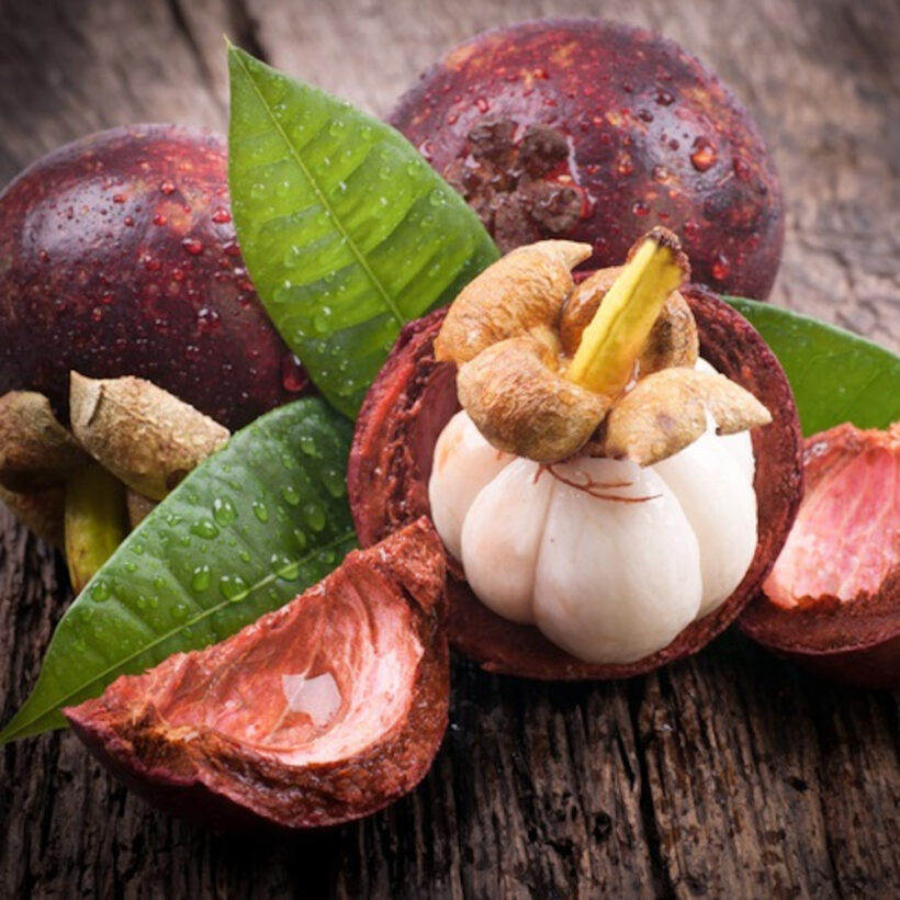 мангостин мангостин