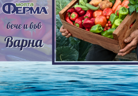 хранителни продукти в гр. Варна