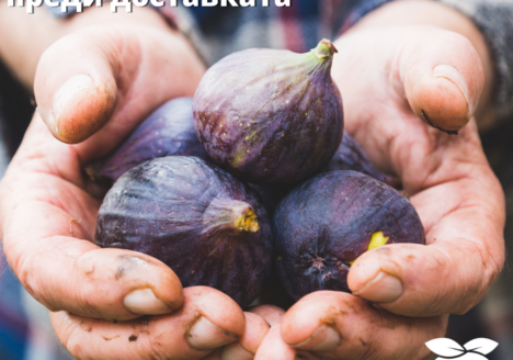 Смокини - плода на боговете