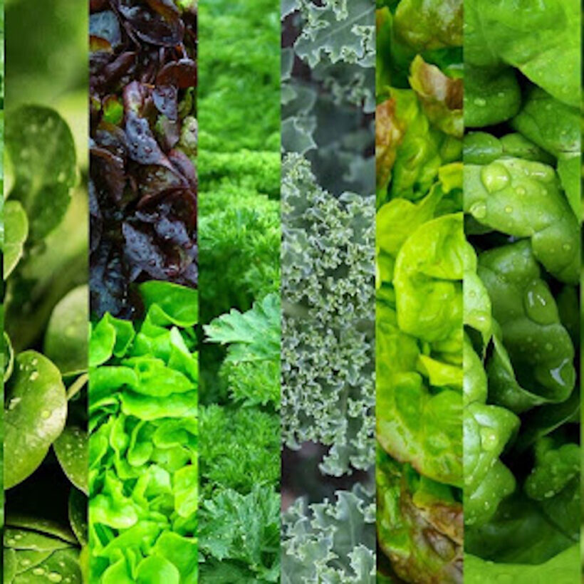 зелени суперхрани зелени суперхрани