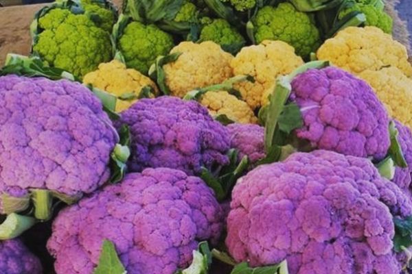Карфиол цветен 1бр - Моята Ферма